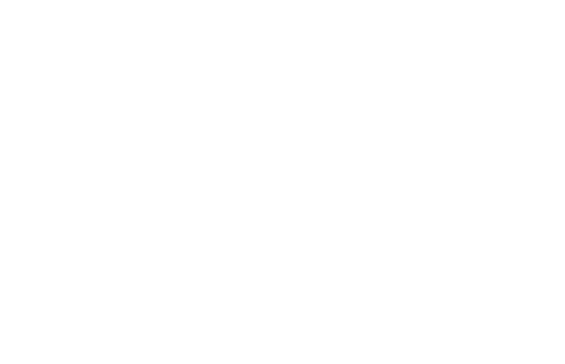 Chas Logo
